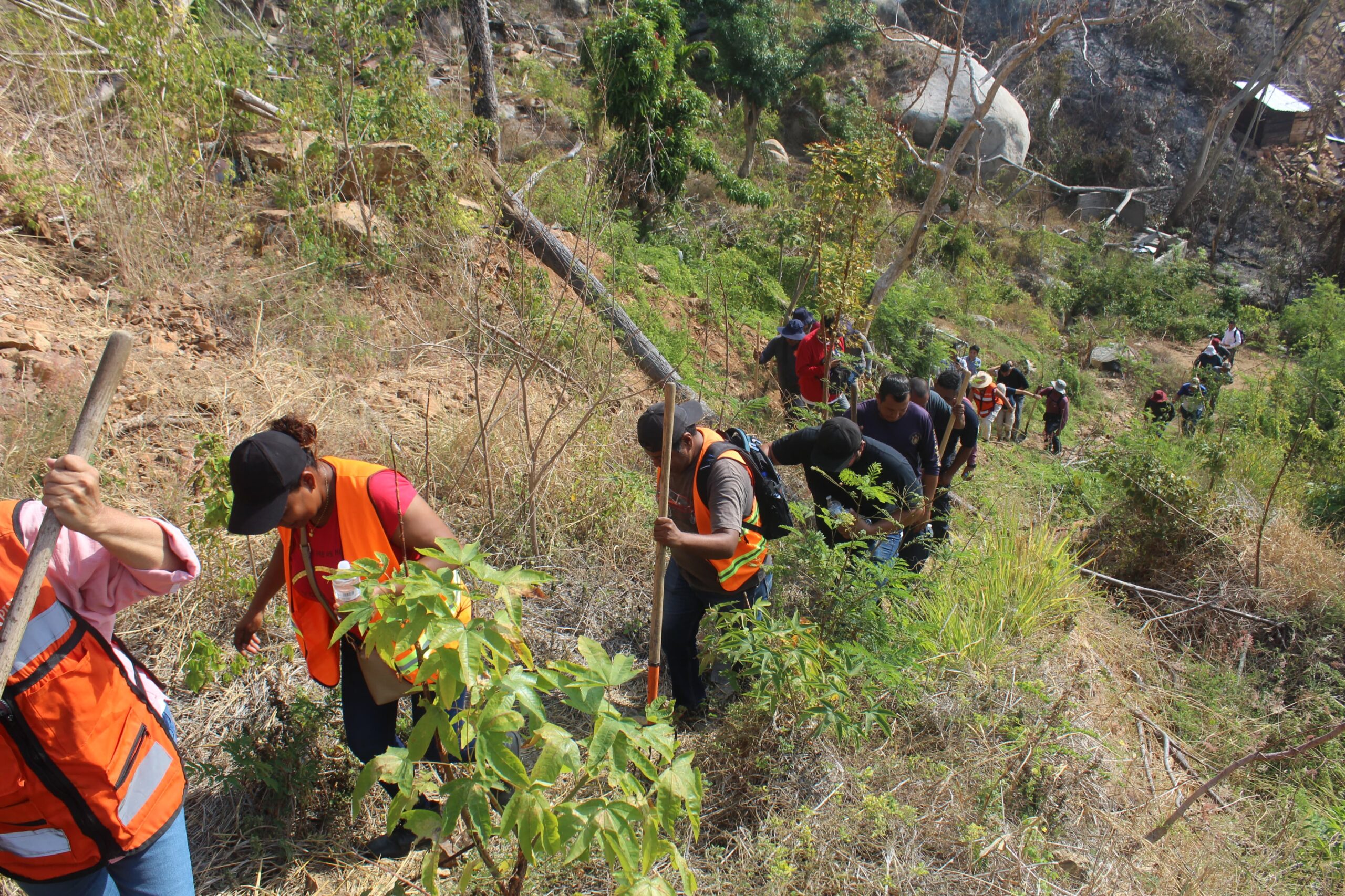 Controlan bomberos de Acapulco, Ejército, CONAFOR y Protección Civil, incendio en Parque Nacional El Veladero