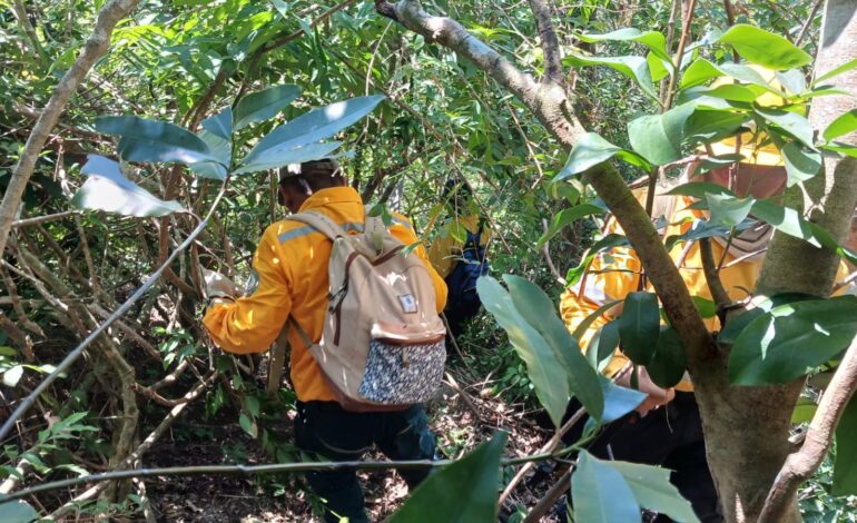 Al 90% la sofocación de incendio forestal del Parque Nacional El Veladero de Acapulco