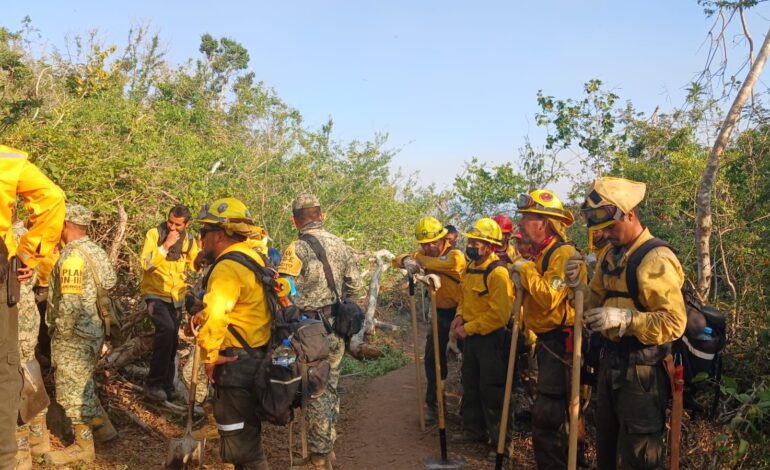 Gobierno del Estado atiende tres incendios forestales en activo en el municipio de Acapulco