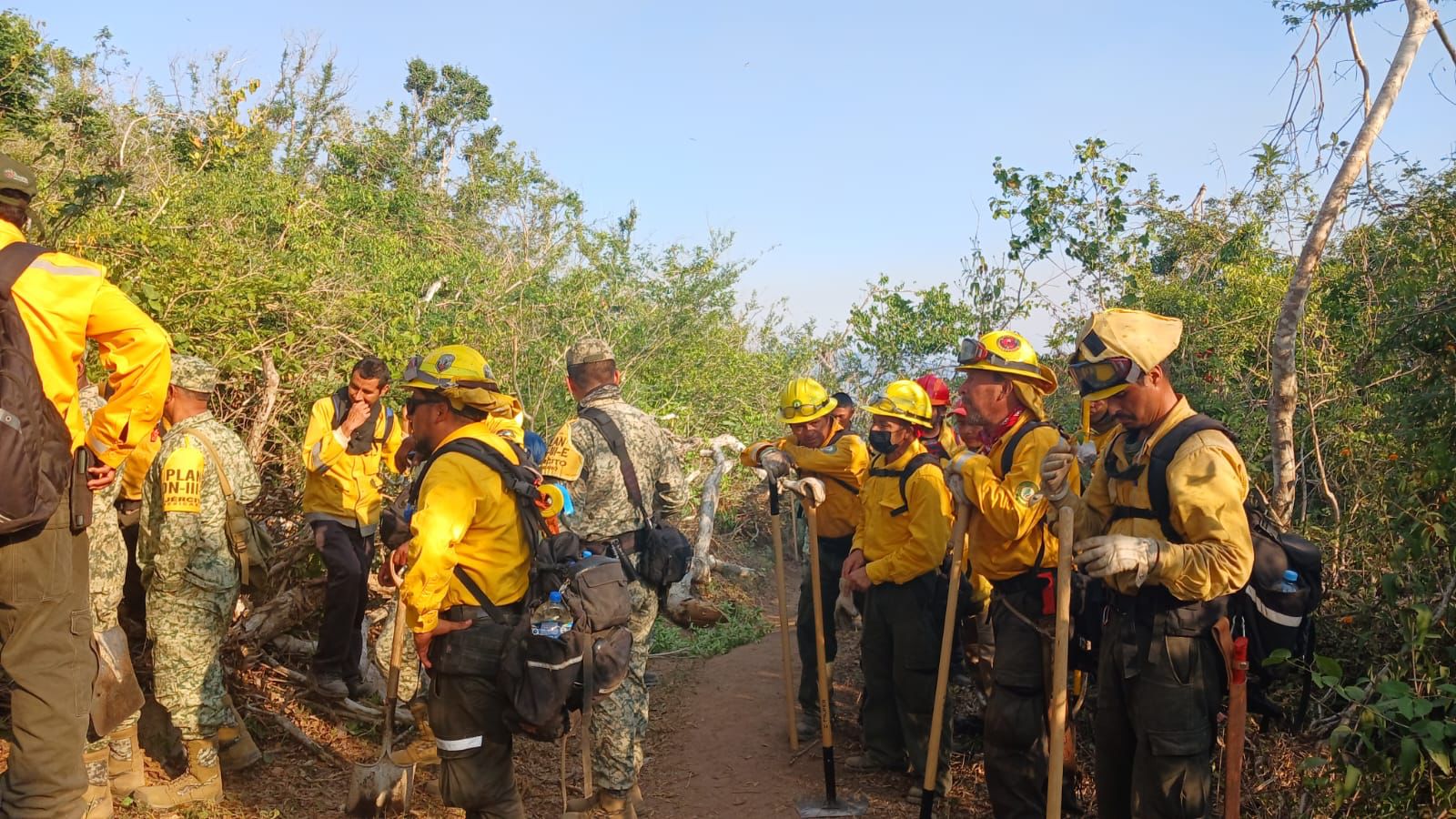 Gobierno del Estado atiende tres incendios forestales en activo en el municipio de Acapulco