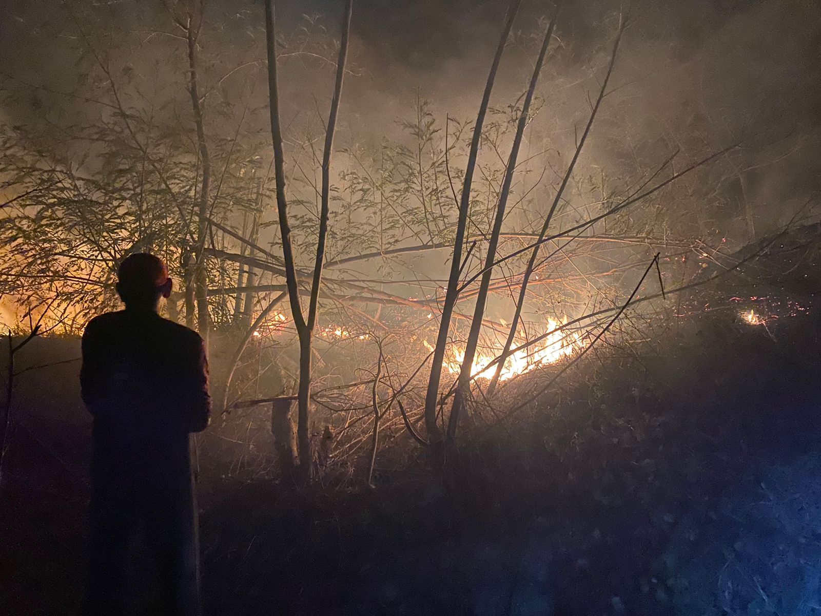 Atienden Bomberos de Acapulco incendio en Praderas del Coloso