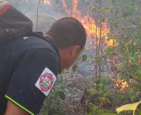 Se trabaja para liquidar nuevo incendio forestal en el Parque El Veladero