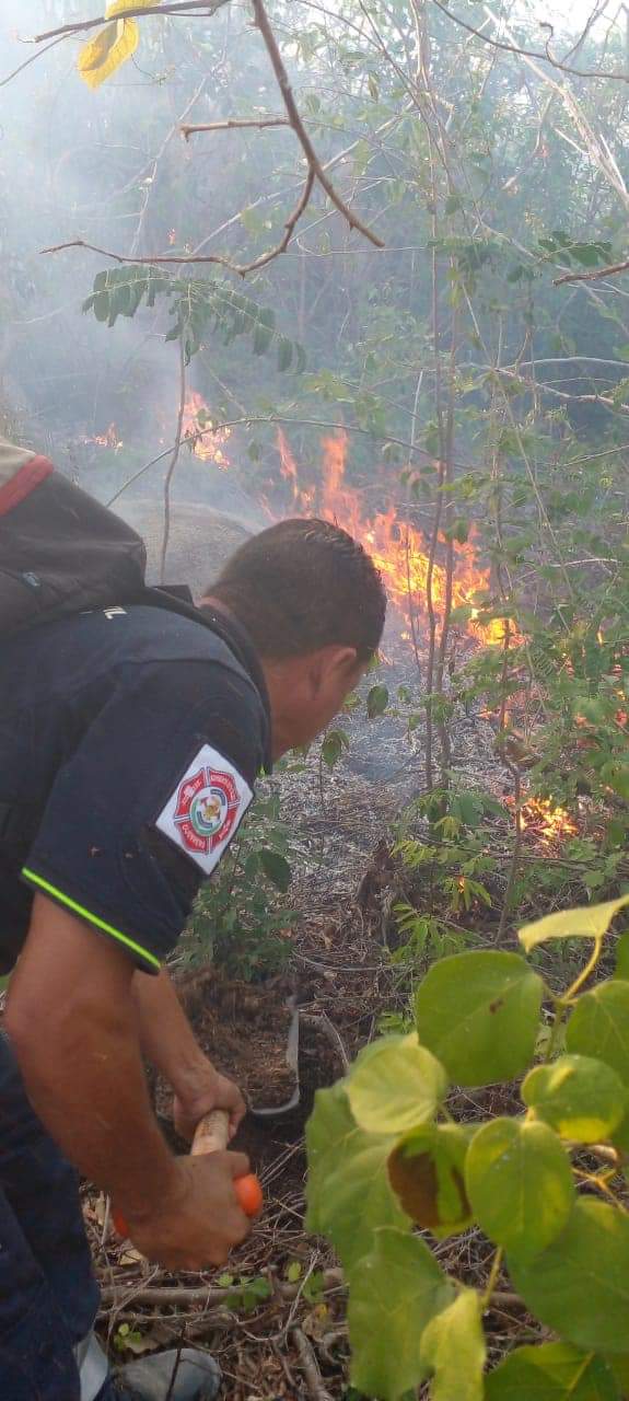 Se trabaja para liquidar nuevo incendio forestal en el Parque El Veladero