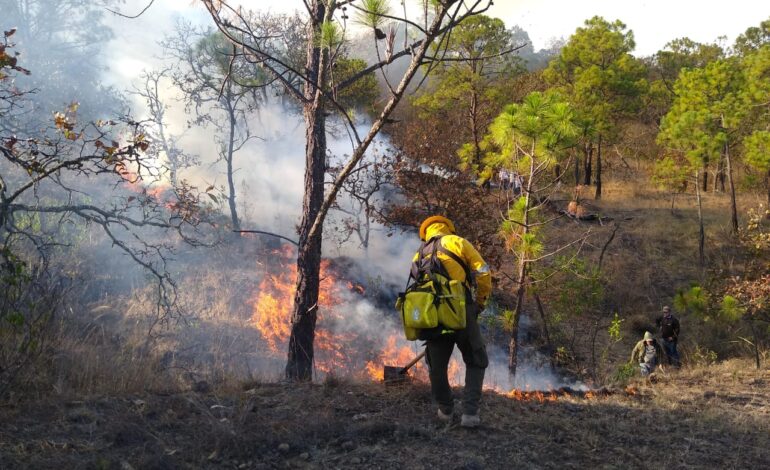 Se trabaja para sofocar incendio forestal en el municipio de Buenavista de Cuéllar