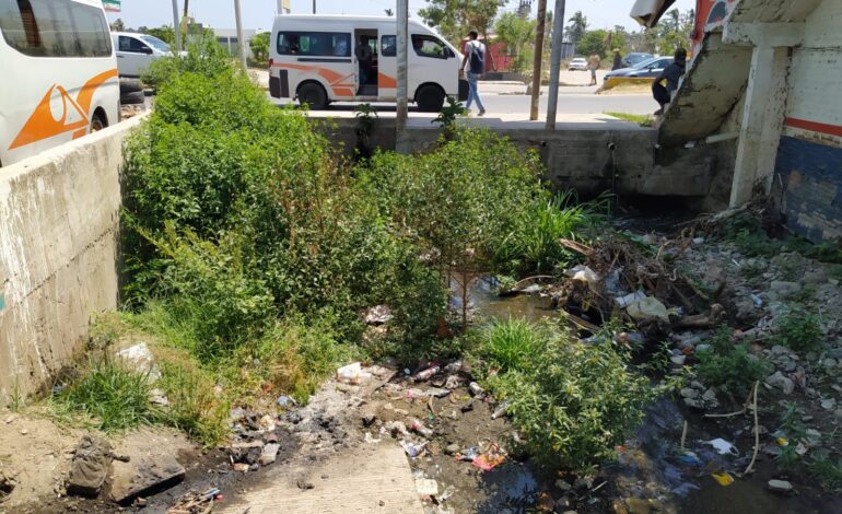 Reporta Gobierno de Acapulco avance del 81 por ciento en revisión de cauces pluviales