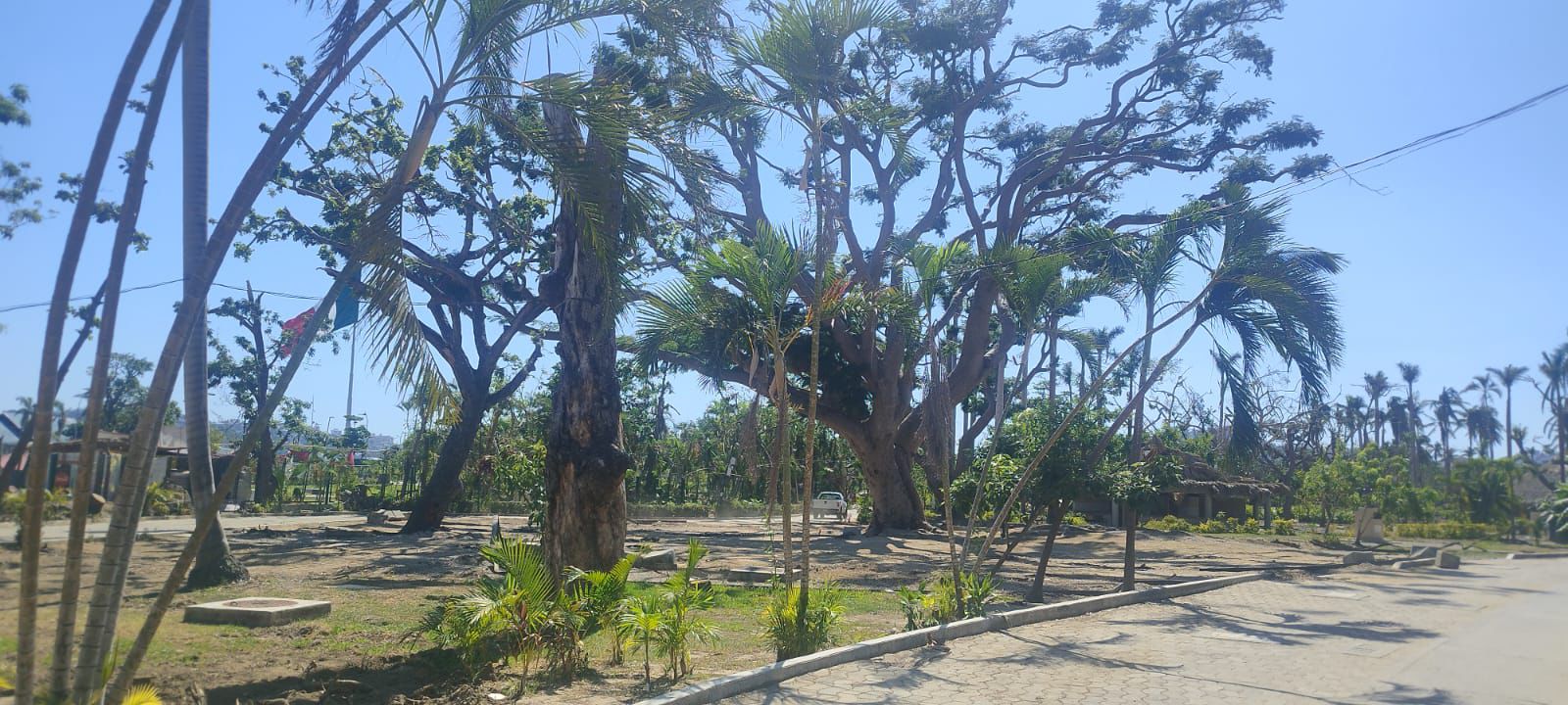 Avance del 90% en la limpieza del Parque Papagayo después de Otis