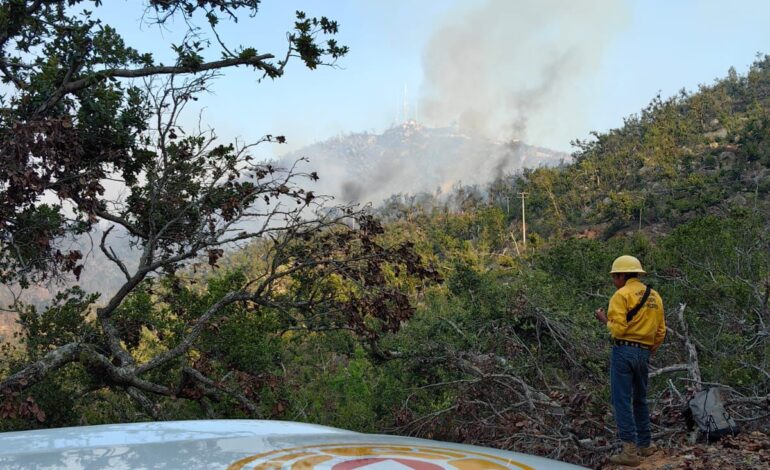 Gobierno del estado atiende nuevo incendio forestal en terrenos del Parque Nacional El Veladero