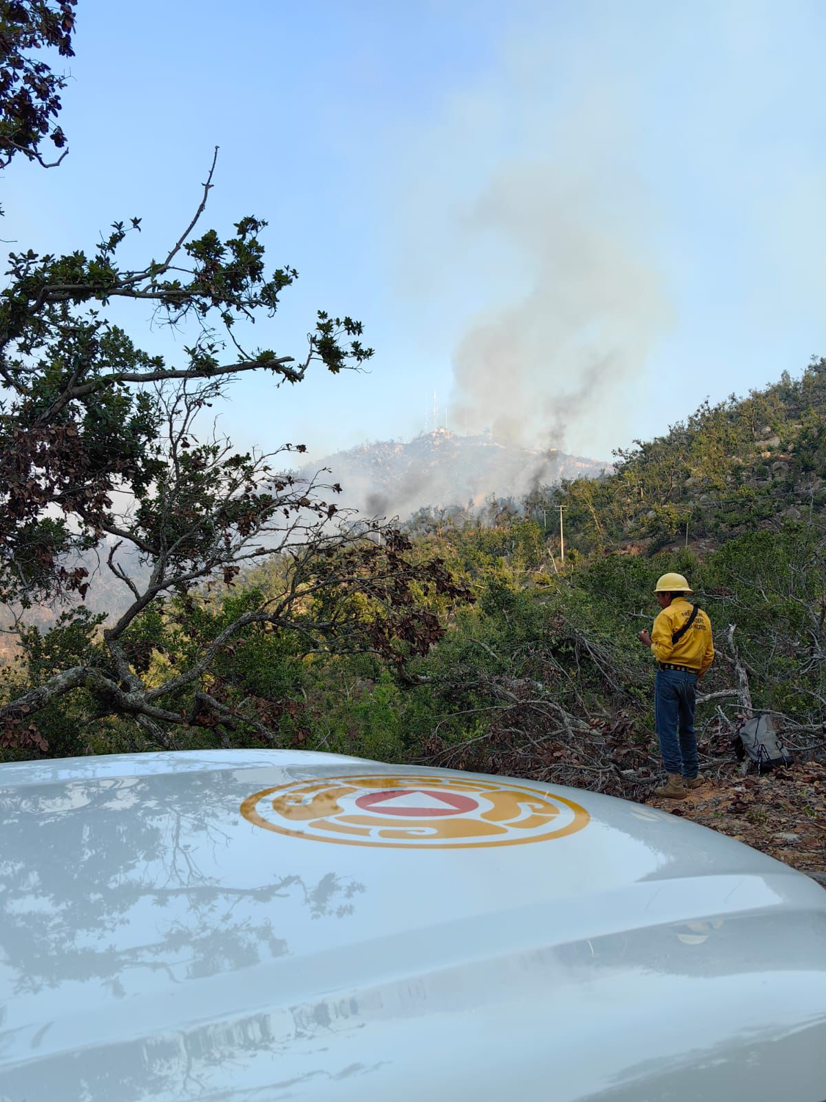 Gobierno del estado atiende nuevo incendio forestal en terrenos del Parque Nacional El Veladero