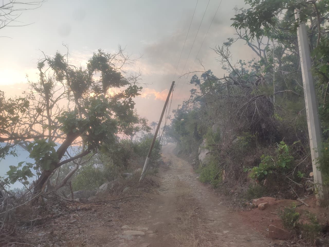 Continúa Protección Civil de Guerrero con labores de combate en el incendio forestal del parque nacional El Veladero