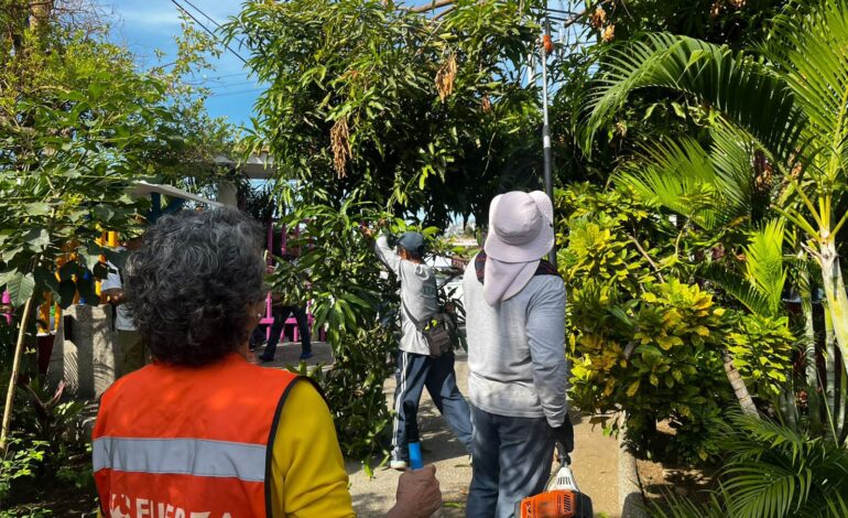 Promueve Gobierno Municipal de Acapulco brigada integral de limpieza en la Progreso