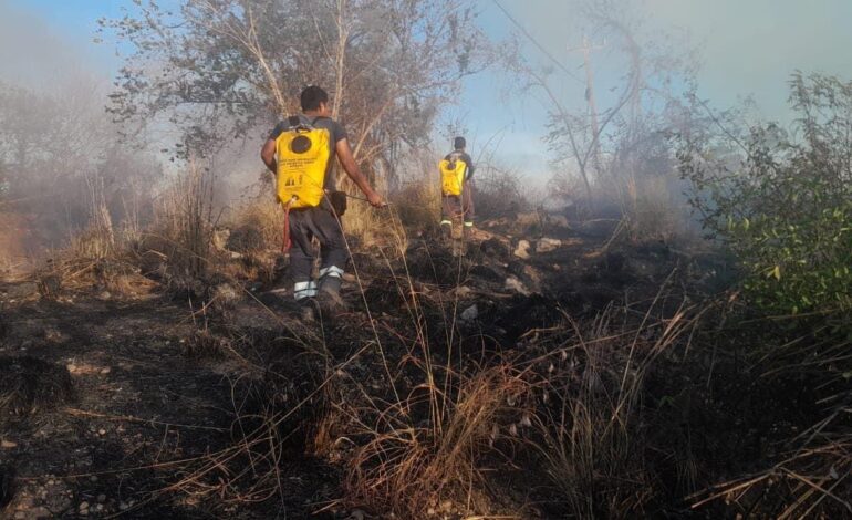 Gobierno del estado combate incendio en la parte alta de la colonia Jardín Palmas de Acapulco