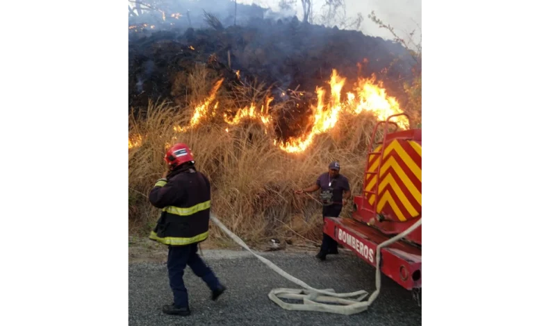 Ha atendido Gobierno de Acapulco 323 incendios forestales