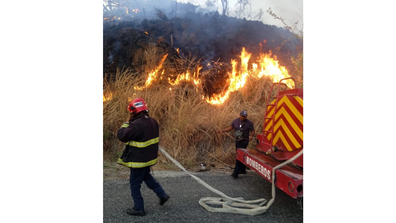 Ha atendido Gobierno de Acapulco 323 incendios forestales