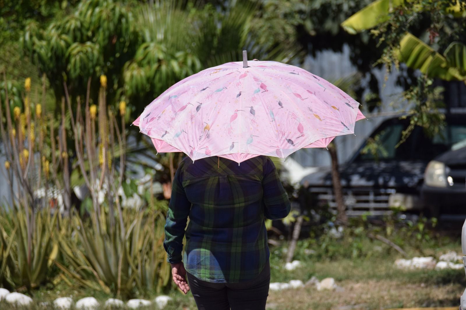 Alerta Protección Civil de altas temperaturas y ambiente muy caluroso para los próximos días por onda de calor