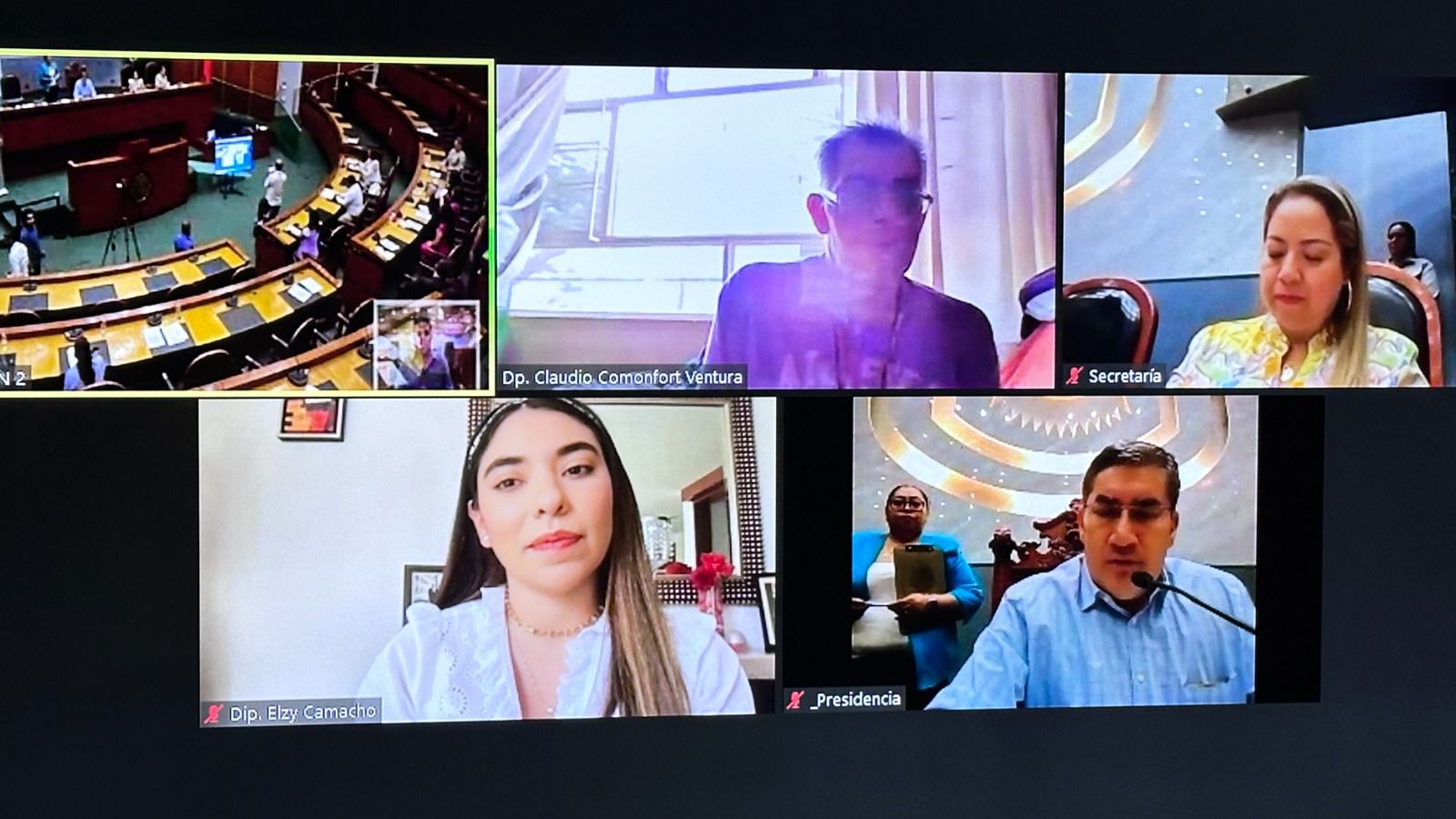 Elzy Camacho hizo un llamado a las autoridades para que atiendan de inmediata enfermedades ocasionadas por vectores
