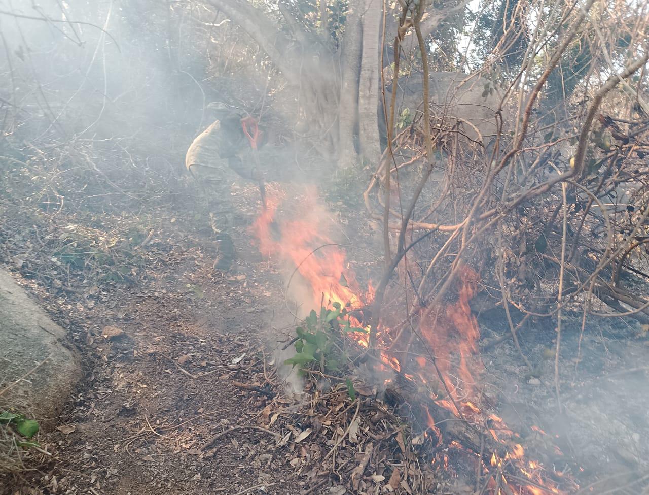 Más de mil elementos de SEDENA y Marina, Protección Civil Estatal, Conafor y voluntarios coadyuvan en el combate de incendios forestales en Acapulco