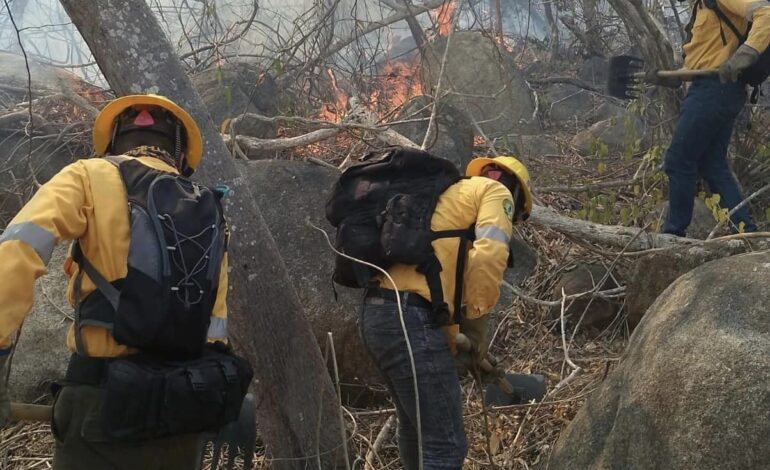 Llega a Acapulco Misión Eco para el combate de incendios forestales
