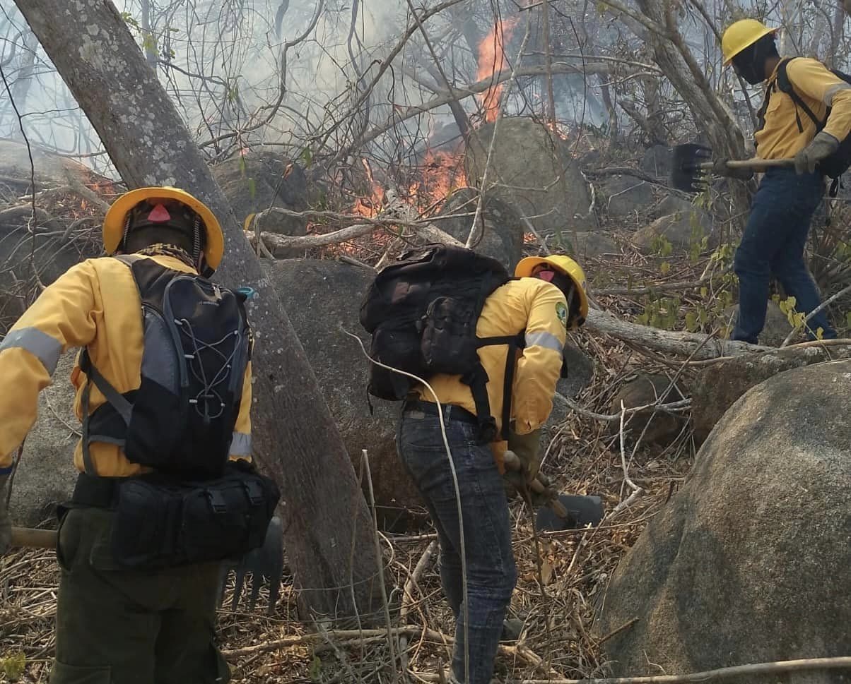 Llega a Acapulco Misión Eco para el combate de incendios forestales