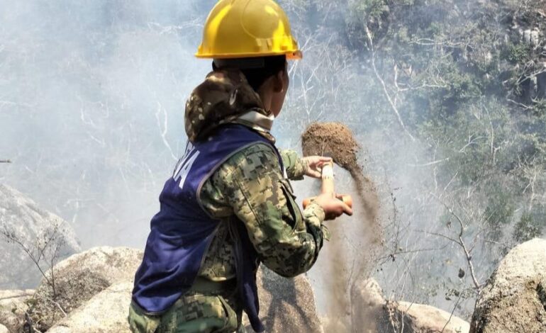 Incendio forestal en El Veladero podría quedar liquidado en su totalidad en las próximas horas