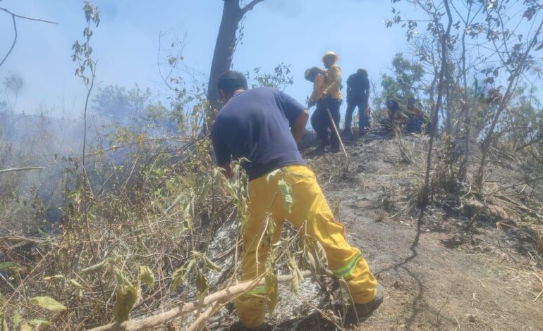Controlado al 100% el incendio forestal de El Veladero en Acapulco