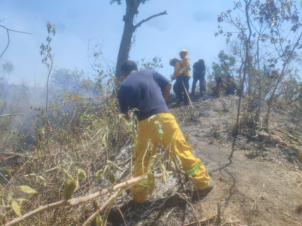 Controlado al 100% el incendio forestal de El Veladero en Acapulco