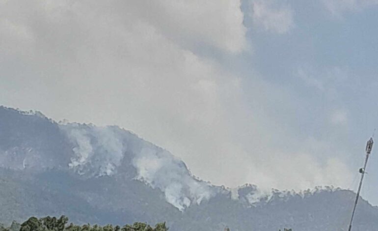 Incendio forestal consume vegetación en Las Compuertas, Coyuca de Benítez; autoridades ya trabajan en su aniquilación