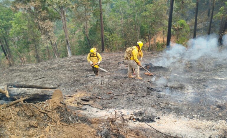 Atiende Gobierno de Guerrero cinco incendios forestales que afectan a Chilpancingo