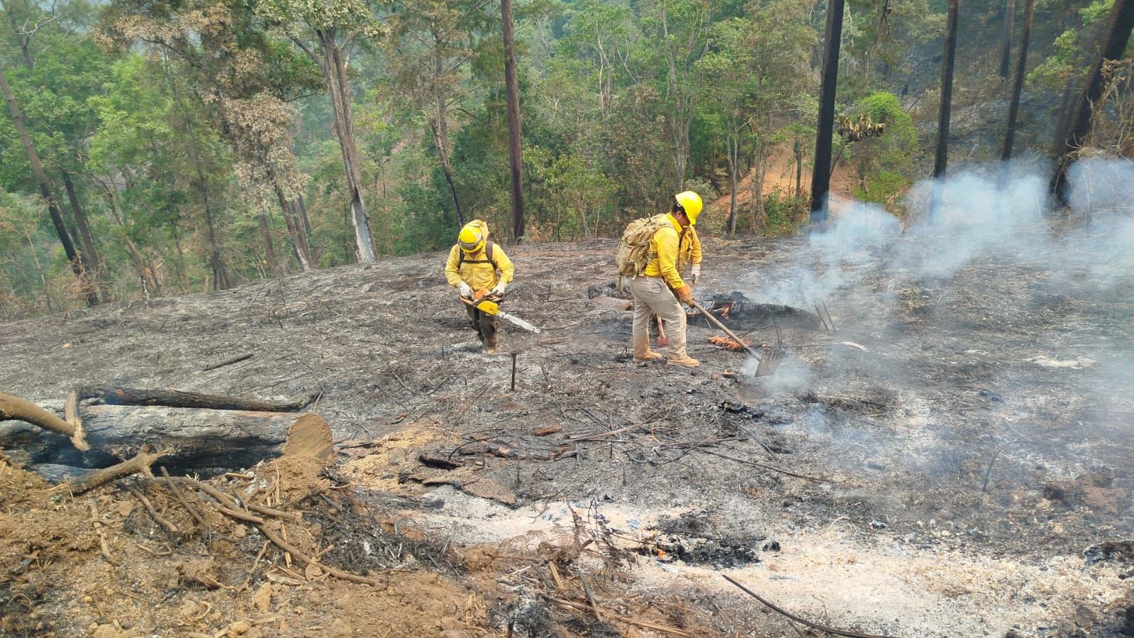 Atiende Gobierno de Guerrero cinco incendios forestales que afectan a Chilpancingo
