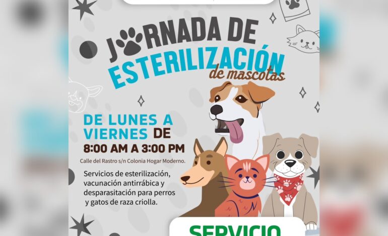 Convoca el Gobierno Municipal a la campaña de esterilización canina y felina