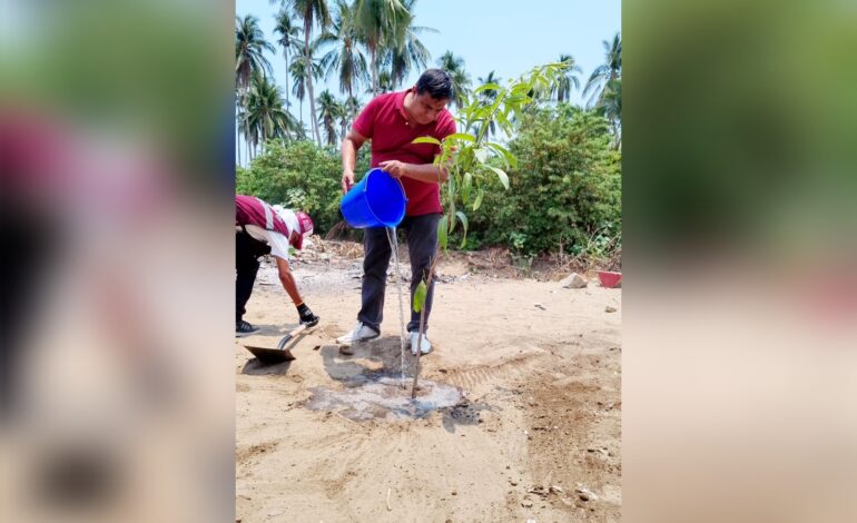 Realiza Marco Tulio acciones de limpieza y reforestación en el Distrito 8