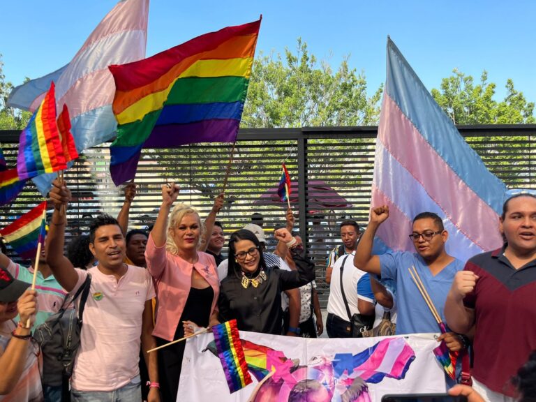colectivos lgbttiq con citlali calixto