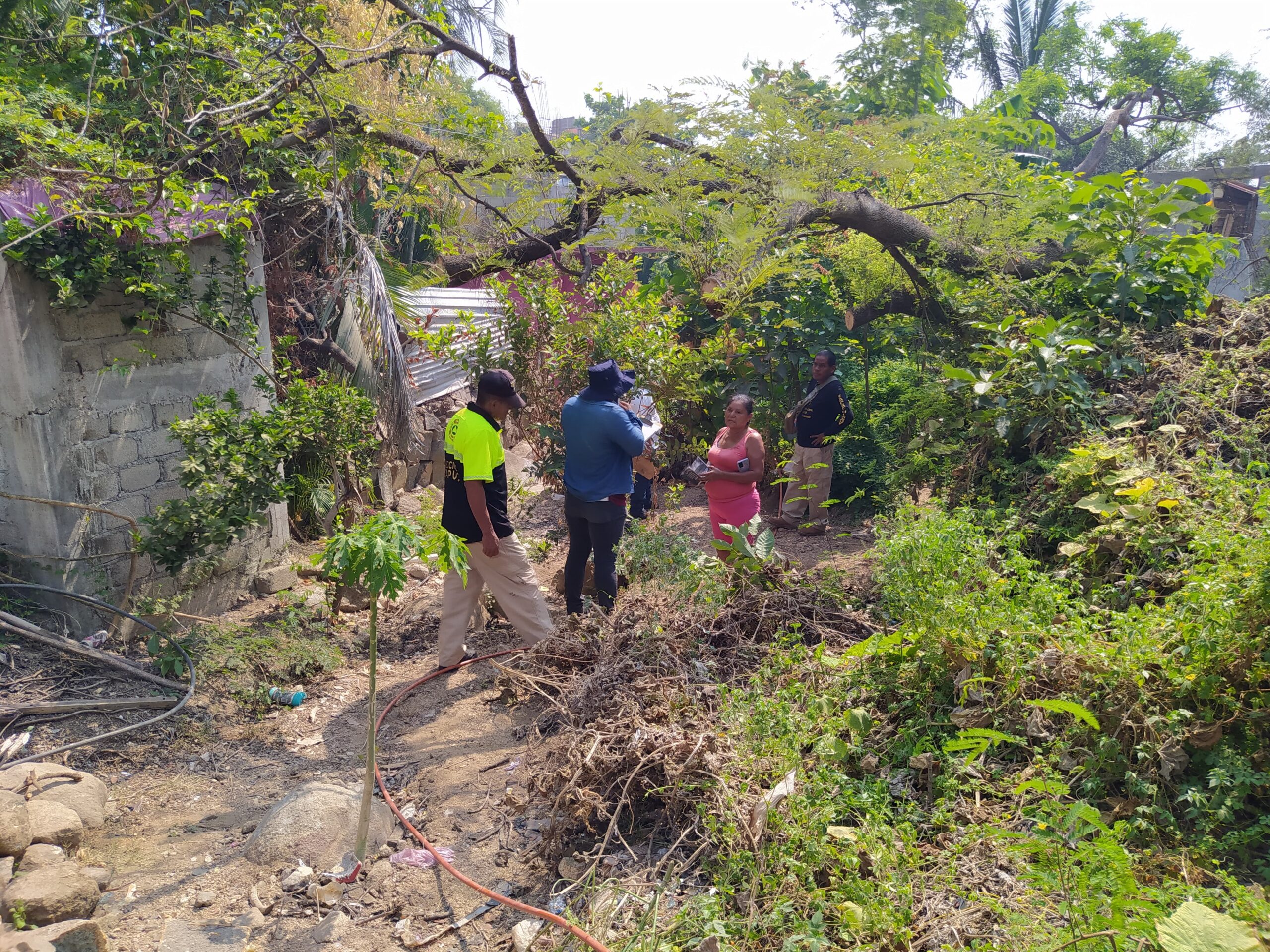 Informa Gobierno de Abelina López Rodríguez trabajos preventivos por temporada de lluvias