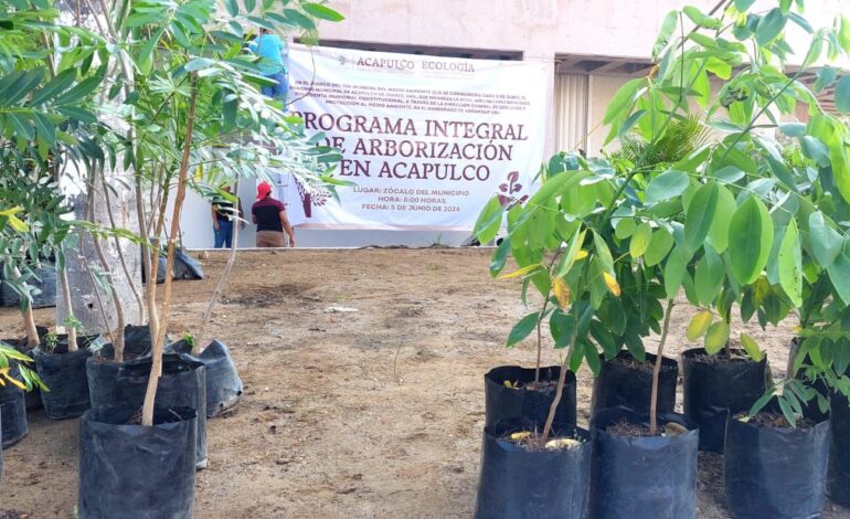 Arranca Gobierno Municipal programa Integral de Arborización en Acapulco
