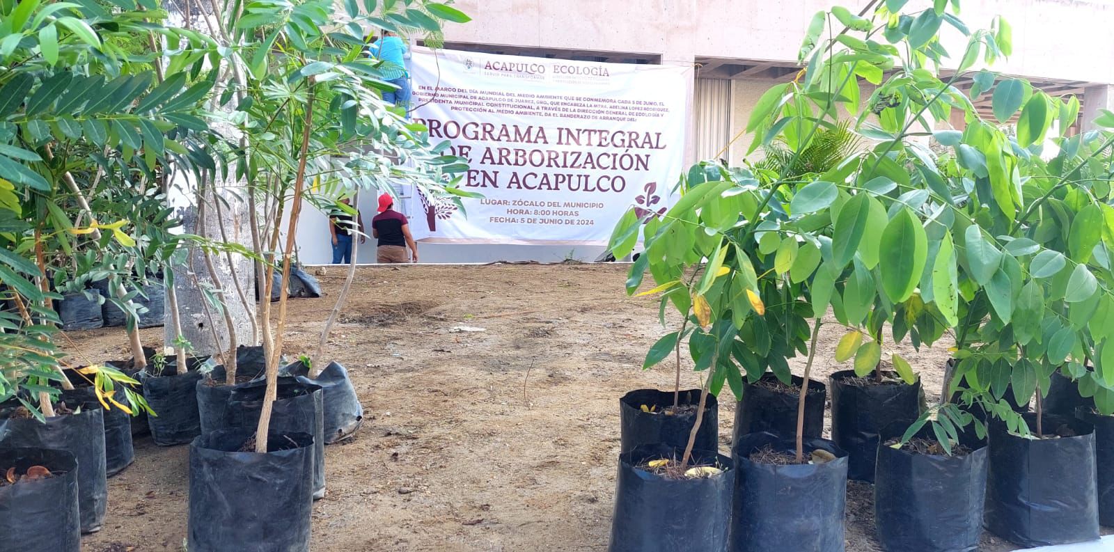 Arranca Gobierno Municipal programa Integral de Arborización en Acapulco