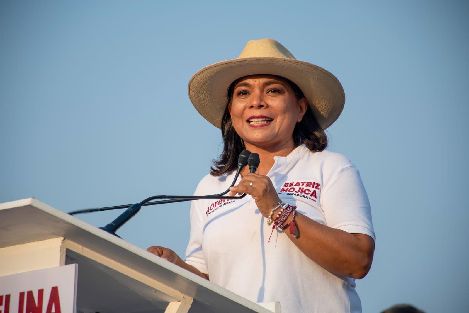 Beatriz Mojica Morga declina acciones legales por campaña en redes sociales