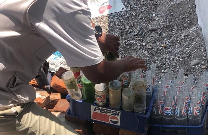 Refuerza la Secretaría de Salud de Guerrero acciones contra el dengue