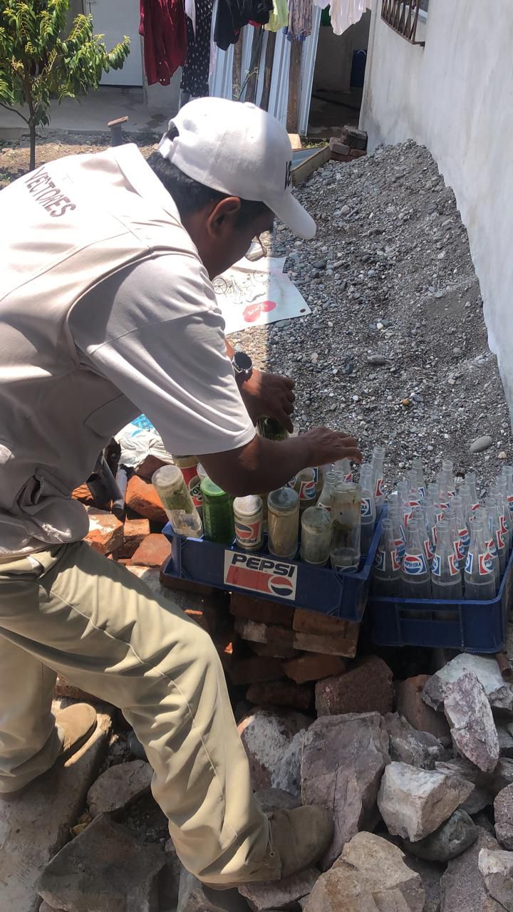 Refuerza la Secretaría de Salud de Guerrero acciones contra el dengue