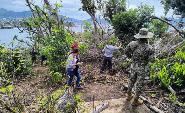 Marina apoya a diversas autoridades con transporte, seguridad y atención médica durante labores de limpieza y reforestación de la isla“La Roqueta” en Acapulco