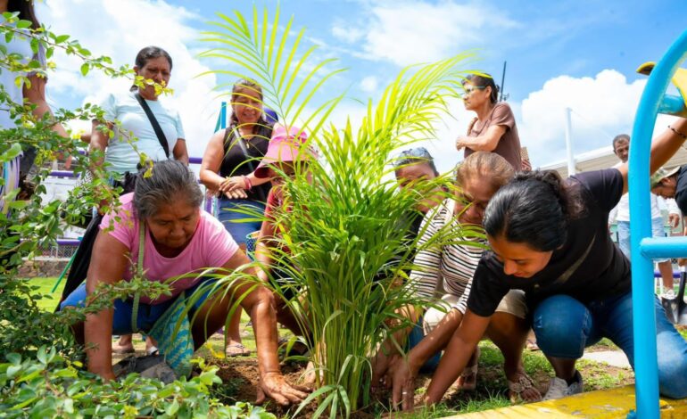 El trabajo en territorio continuará en Acapulco con más acciones y apoyos por parte del gobierno del estado