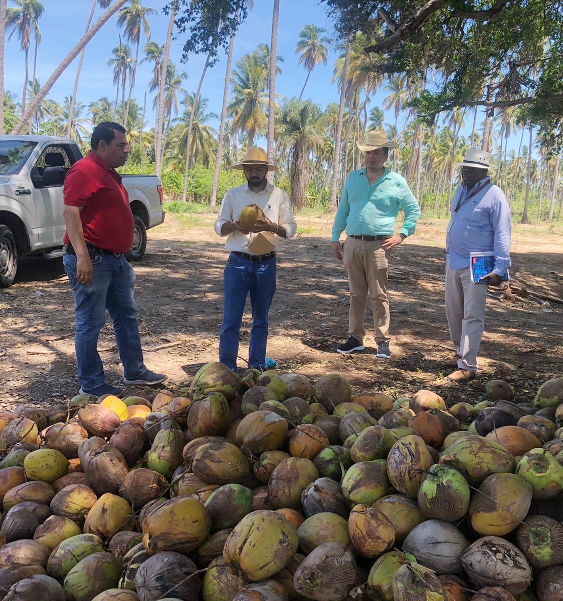 Promueve SEFODECO la exportación del coco a mercados canadienses