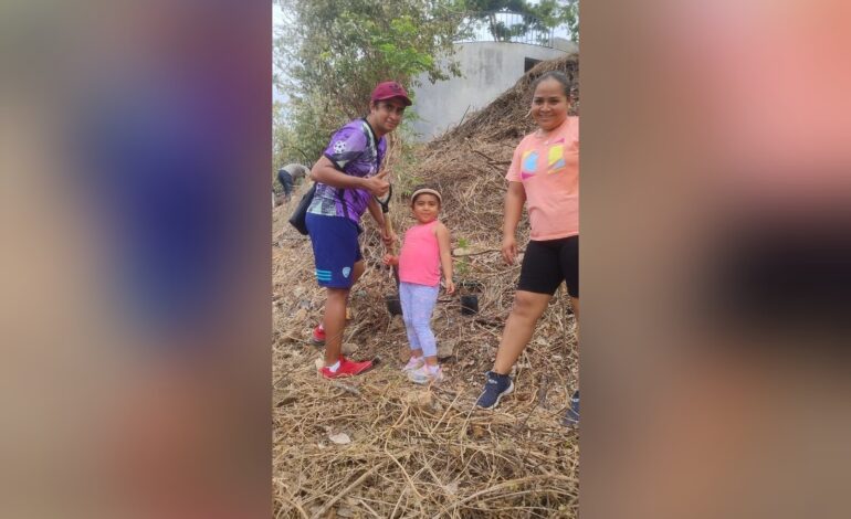 Cerca de 300 árboles se han plantado en el Parque Papagayo