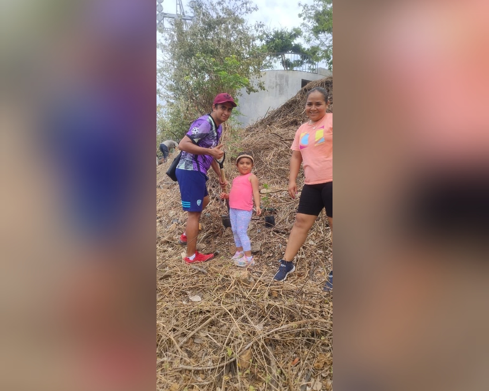 Cerca de 300 árboles se han plantado en el Parque Papagayo