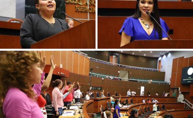 Aprueban incorporar el lenguaje inclusivo en la constitución política del estado
