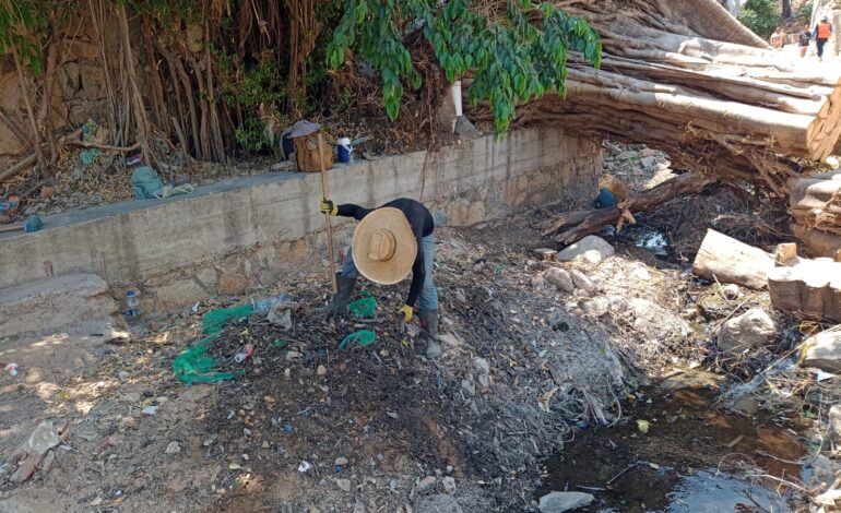 Ha recolectado Gobierno de Abelina López más de 15 mil toneladas de desechos de canales pluviales
