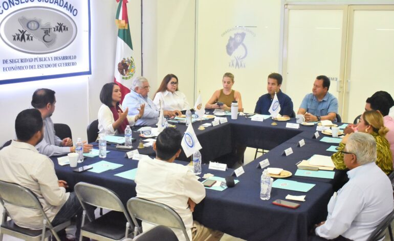 Pide el Consejo Ciudadano Guerrero a Beatriz Mojica que impulse desde el Senado proyectos de desarrollo para el estado
