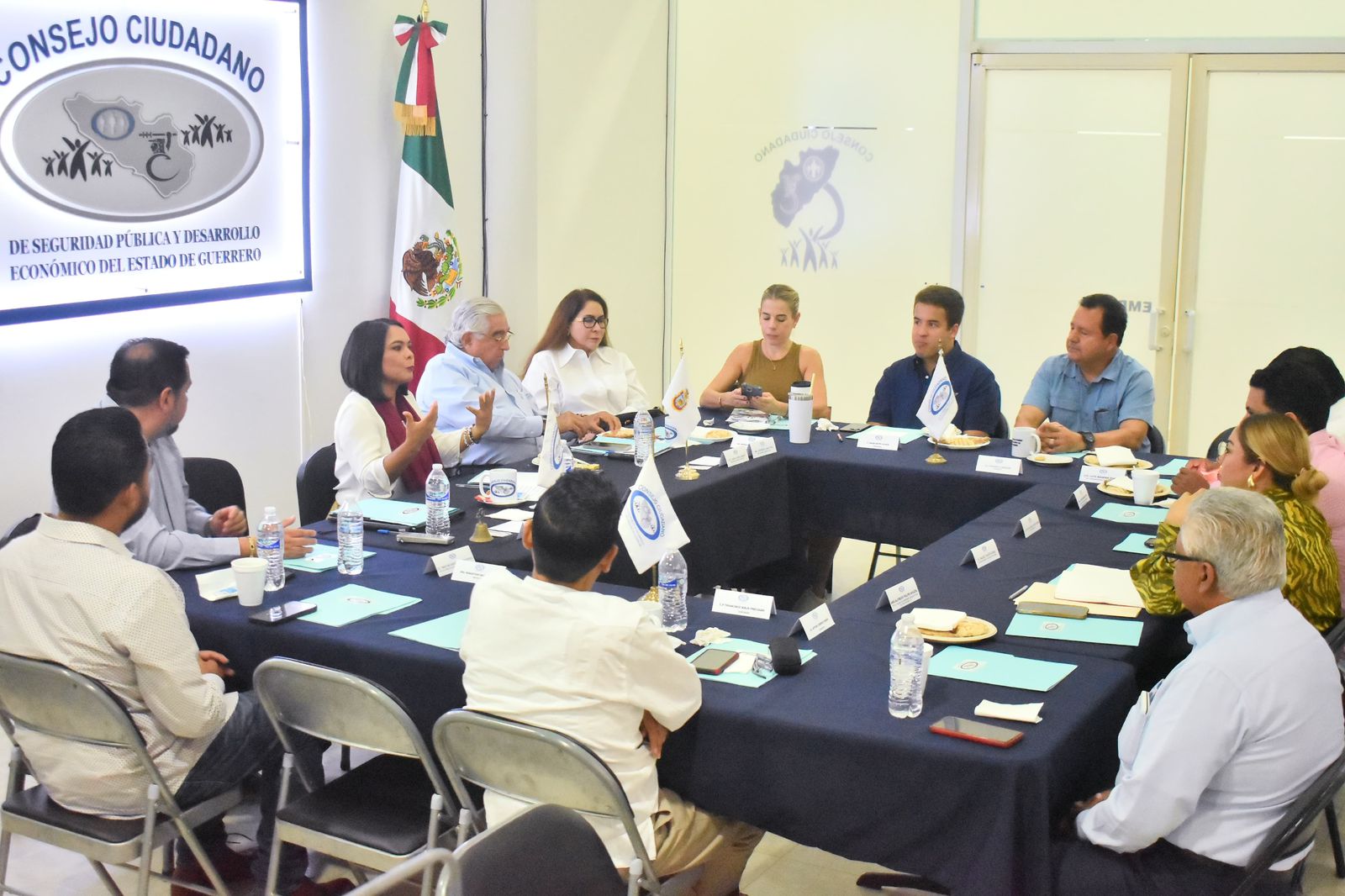 Pide el Consejo Ciudadano Guerrero a Beatriz Mojica que impulse desde el Senado proyectos de desarrollo para el estado