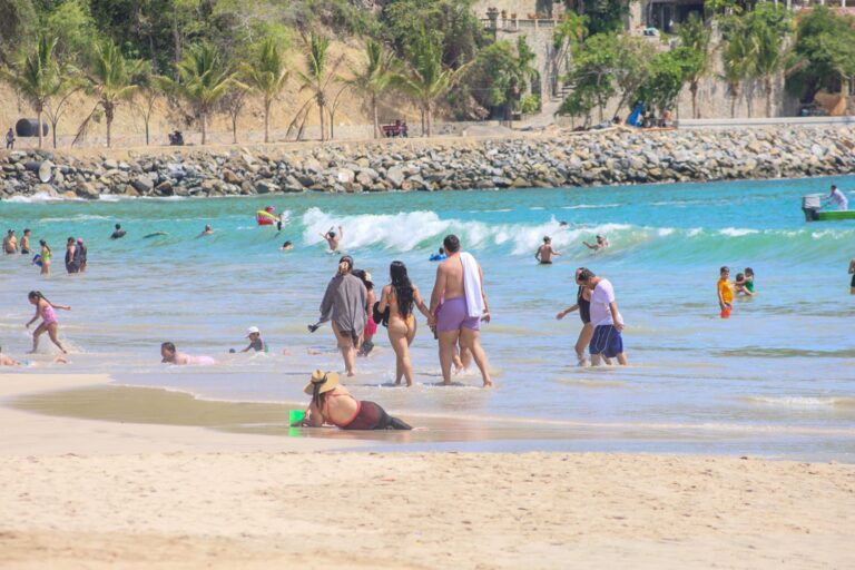 Distintivo Blue Flag 2024-2025 a Playa La RopaWhatsApp Image 2024-07-18 at 22.20.44