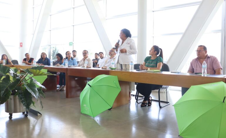 Asiste, Aidé Ibarez a presentación de resultados de brigada de Salud Mental post- huracán Otis