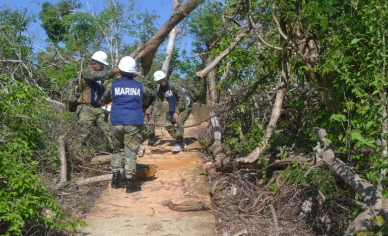 Personal naval que efectúa el Curso de Primera Respuesta ante Desastres lleva a cabo la liberación de caminos y senderos en Acapulco