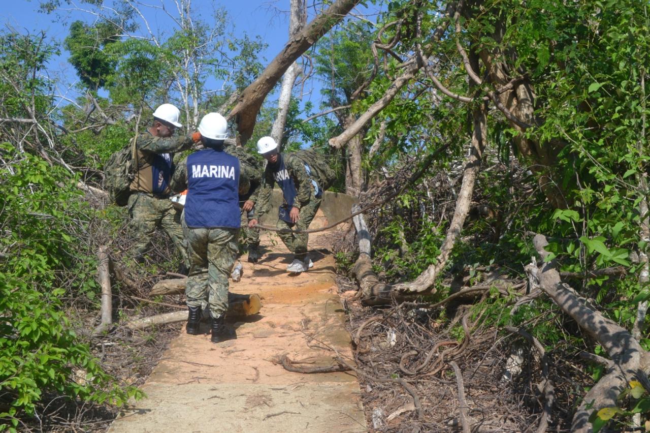 Personal naval que efectúa el Curso de Primera Respuesta ante Desastres lleva a cabo la liberación de caminos y senderos en Acapulco